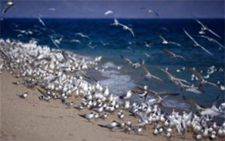 هشدار هواشناسی درباره تشدید ناپایداری‌های جوی و دریایی در هرمزگان